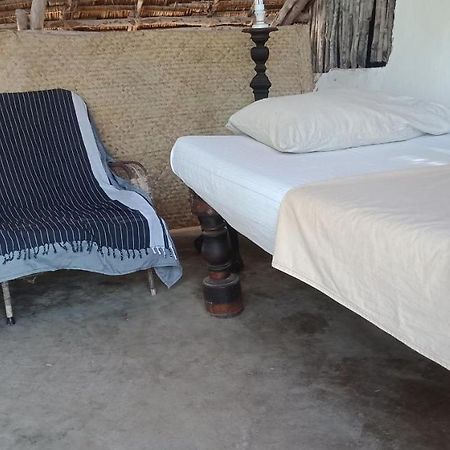 Wildebeeste Lamu Luaran gambar