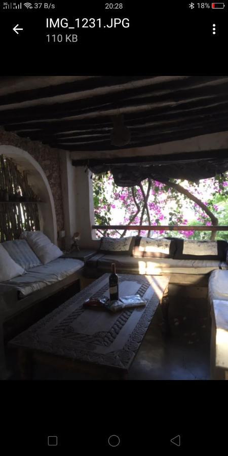 Wildebeeste Lamu Luaran gambar